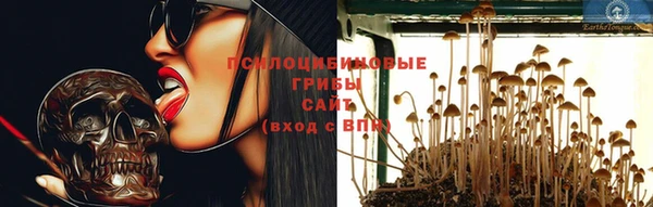 гидра Бородино