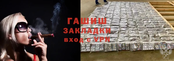 гидра Бородино