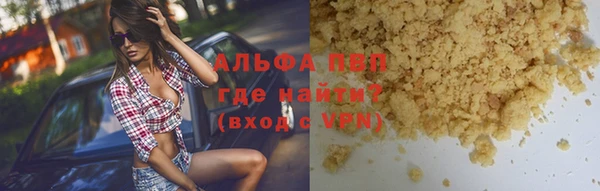 гидра Бородино