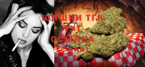 Альфа ПВП Бугульма