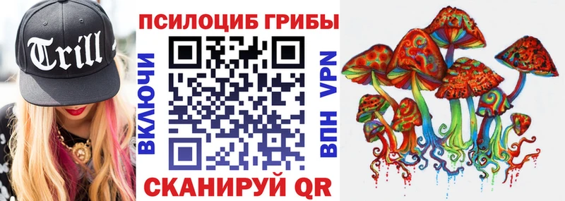 Псилоцибиновые грибы GOLDEN TEACHER  цены   Полесск 